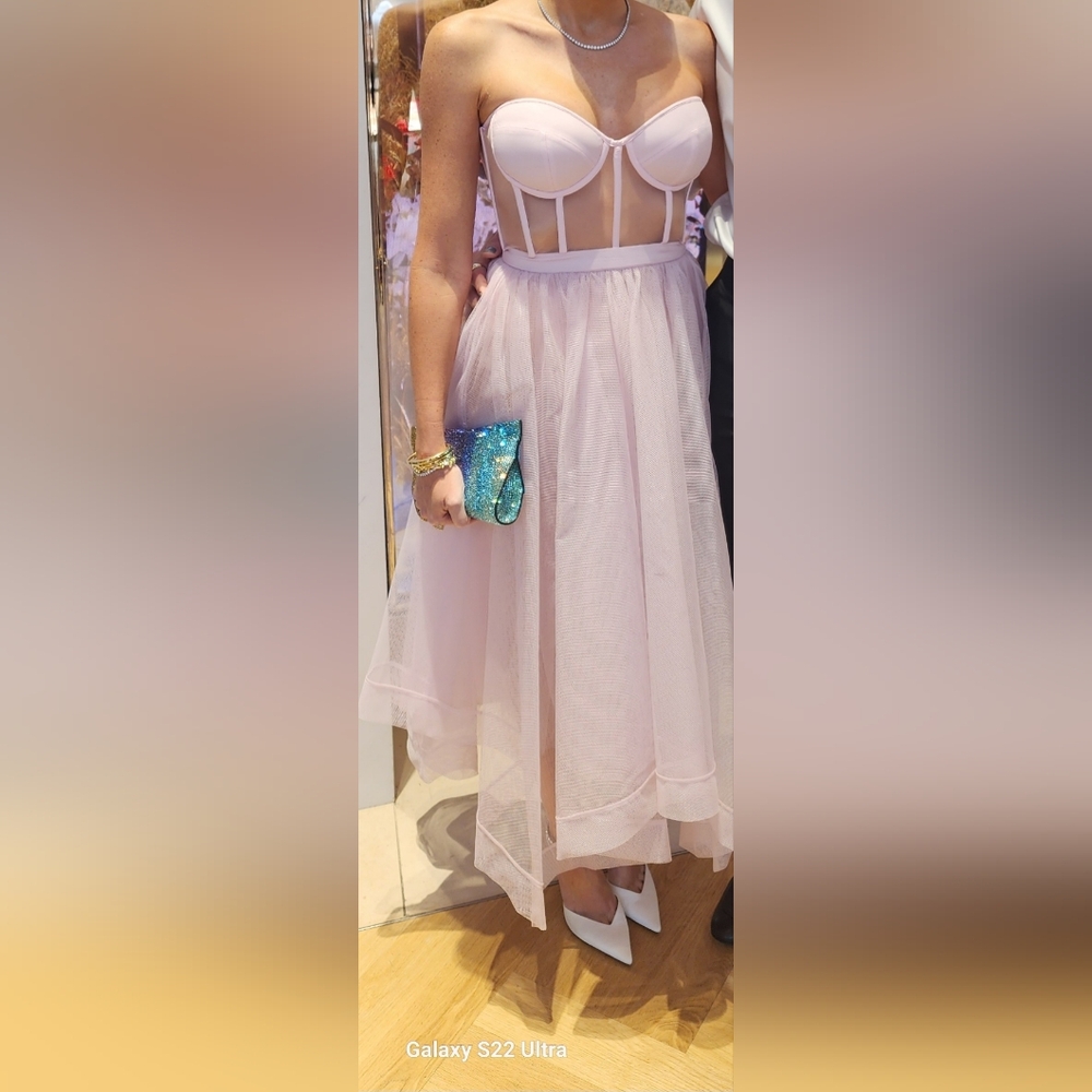 Pale Pink Alexander McQueen Dress